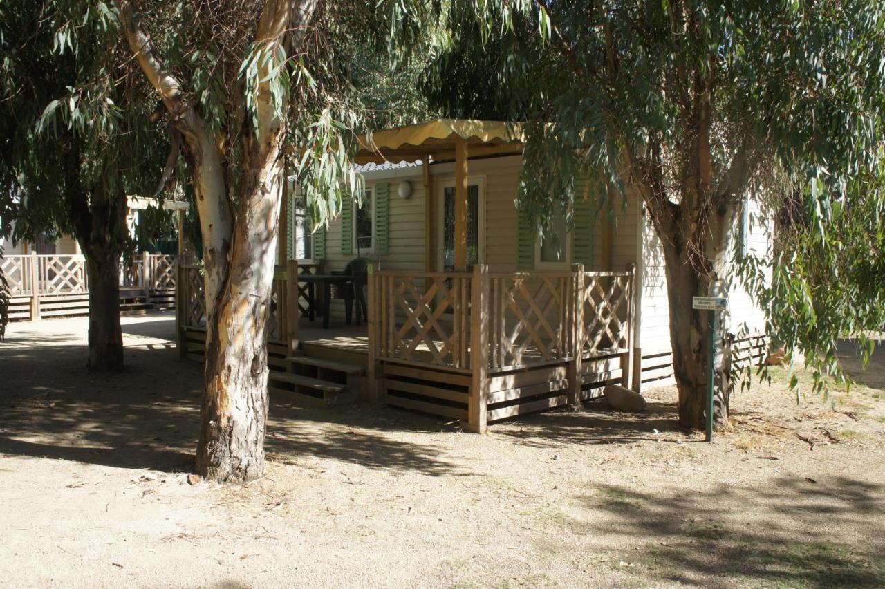 Camping Dolce Vita Calvi  Exterior foto