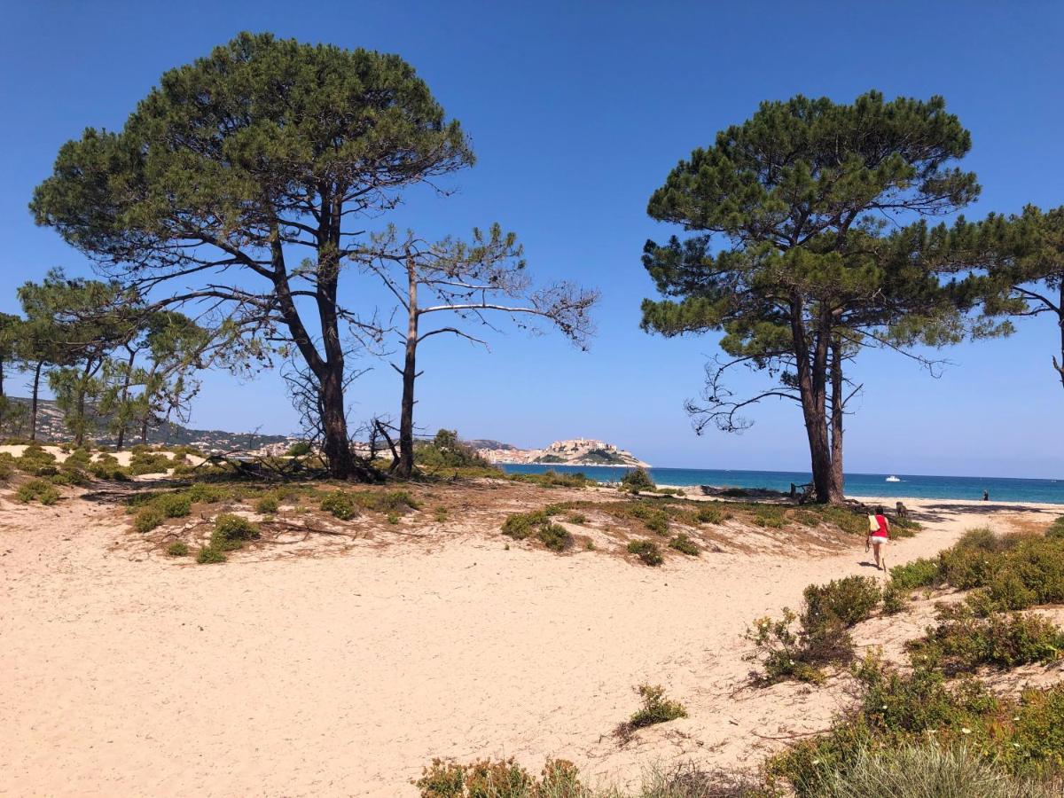 Camping Dolce Vita Calvi  Exterior foto