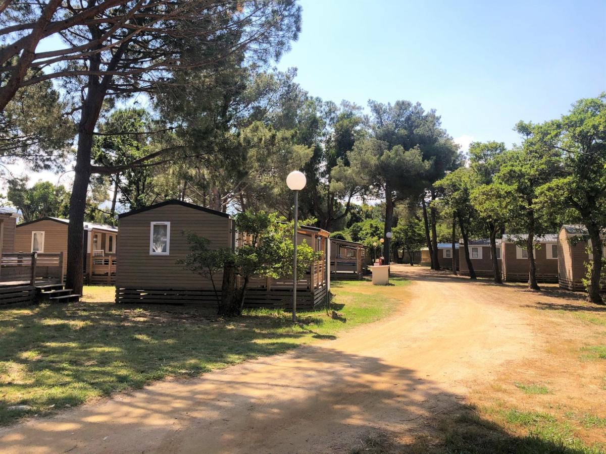 Camping Dolce Vita Calvi  Exterior foto