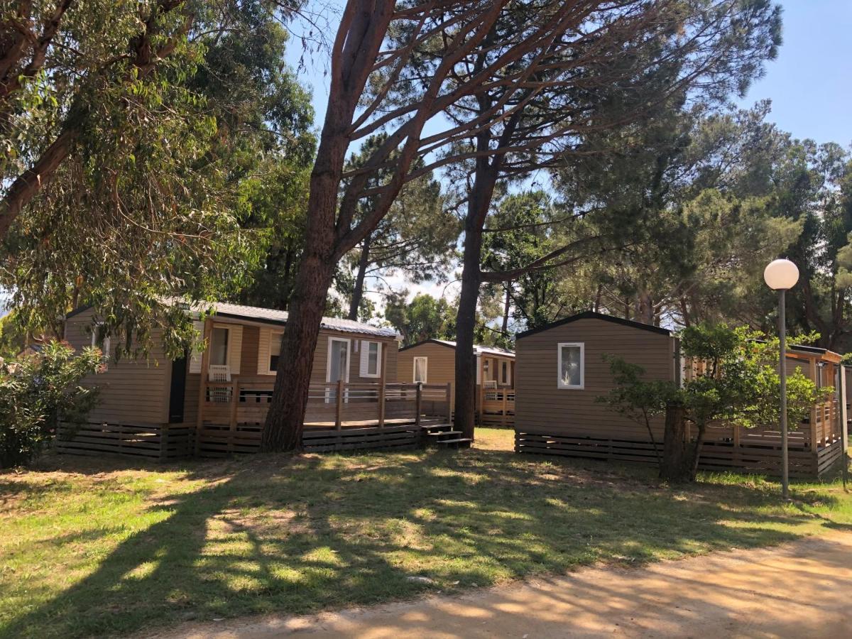 Camping Dolce Vita Calvi  Exterior foto