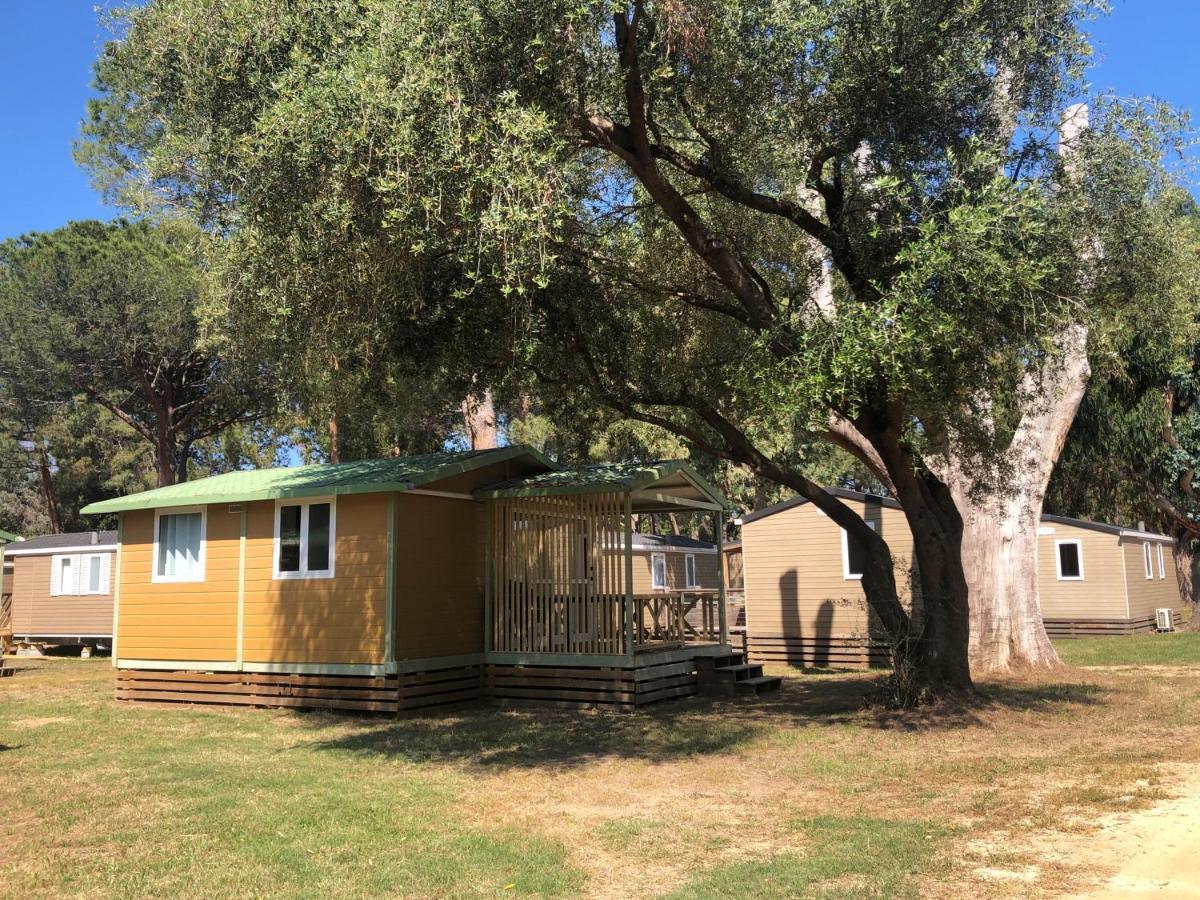 Camping Dolce Vita Calvi  Exterior foto
