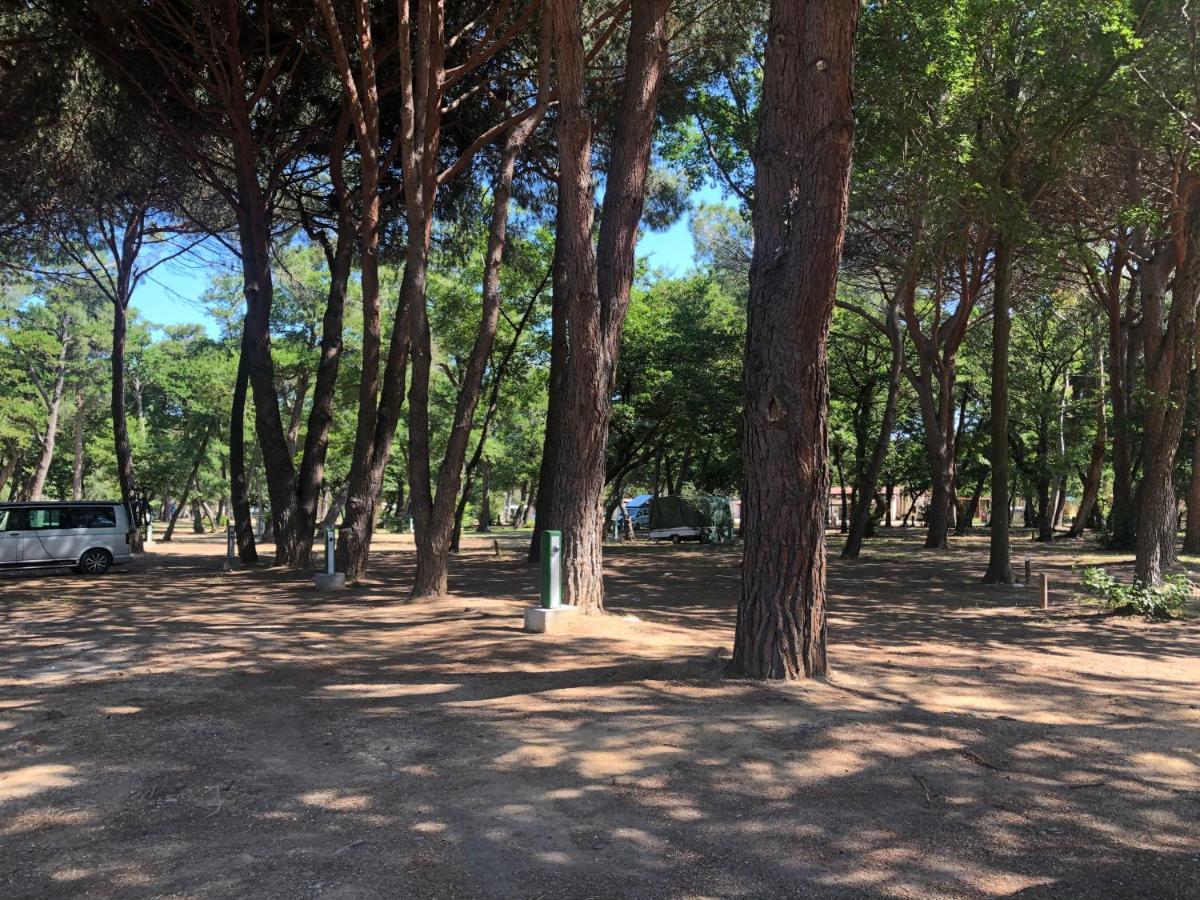 Camping Dolce Vita Calvi  Exterior foto