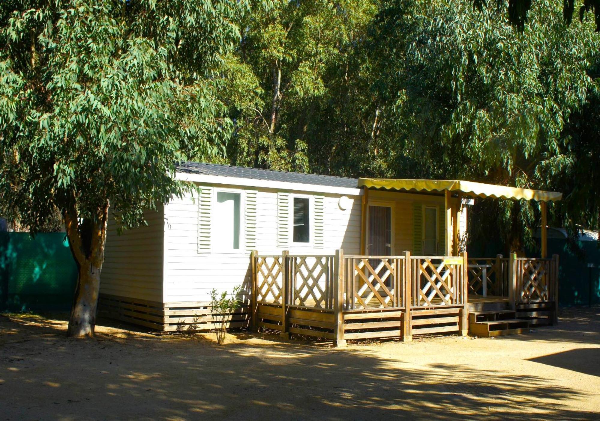 Camping Dolce Vita Calvi  Exterior foto